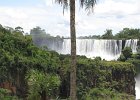 IMG 4237 : Iguazu, Iguazu Argentine