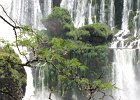 IMG 4250 : Iguazu, Iguazu Argentine